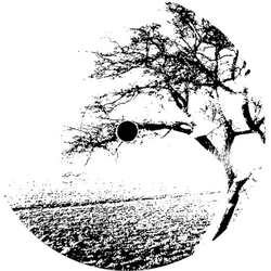 Losoul Open Door Vinyl 12"