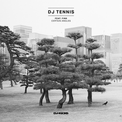 Dj Tennis Feat Fink Certain Angles Vinyl 12"