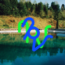 Npvr 33 33 Vinyl LP