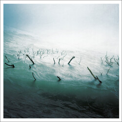 Sefton (3) Stranded In Passion Vinyl