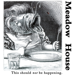 Meadow House This Should Not Be Happening Vinyl LP
