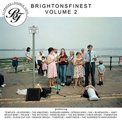 Various Brightonsfinest Volume 2 Vinyl 2 LP