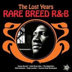 Various Artist Rare Breed R&B: The Lost Years Vinyl LP