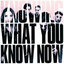 Marmozets Knowing What You Know Now Vinyl LP