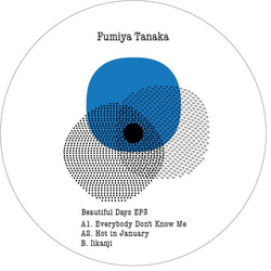 Fumiya Tanaka Beautiful Days 3 Vinyl 12"