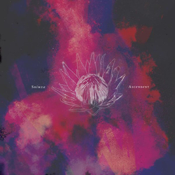 Shimza Ascendent Vinyl 12"