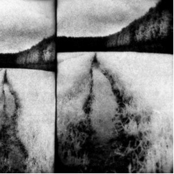 Tenebrous Liar THE CUT Vinyl LP