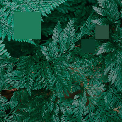 Nebraska Metaphor To The Floor Vinyl 12"