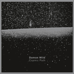 Damon Wild Cosmic Path Vinyl 2 LP