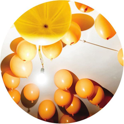 Various Artist Steps Vinyl 12"
