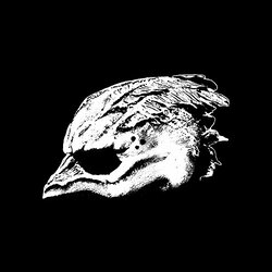Legend Of The Seagullmen Legend Of The Seagullmen Vinyl LP