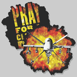 Anti-Flag Sky Is Falling Vinyl