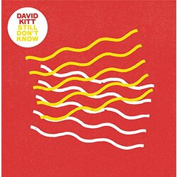 David Kitt Still Don't Know Vinyl LP