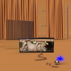 Frigs Basic Behaviour Vinyl LP