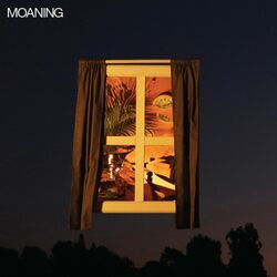 Moaning Moaning VINYL LP