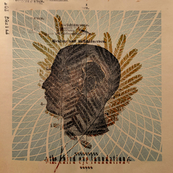 Third Eye Foundation Wake The Dead Vinyl LP