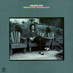 Shuggie Otis Insipriation Information Vinyl LP