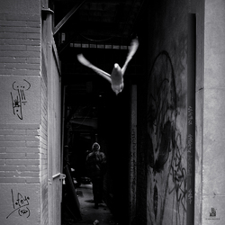 Lojii Lofeye Vinyl LP