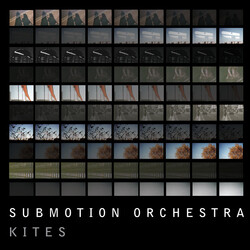 Submotion Orchestra Kites Vinyl LP