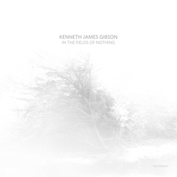 Kenneth James Gibson In The Fields Of Nothing Vinyl LP