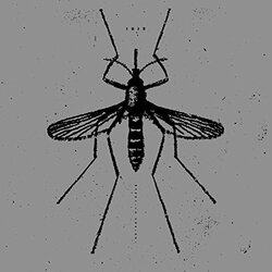 Isis Mosquito Control Vinyl LP