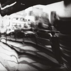 Amazing In Transit Vinyl 2 LP