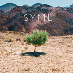Syml In My Body Vinyl LP