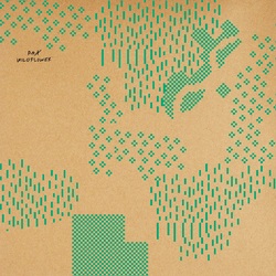 Pax Wildflower Vinyl LP