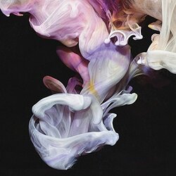 Simian Mobile Disco Murmurations Vinyl 2 LP +g/f