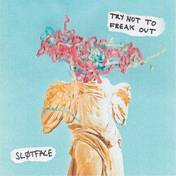Slotface Try Not To Freak Out Vinyl LP