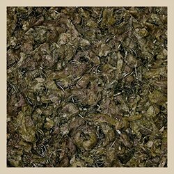 Piss Vortex Future Cancer Vinyl LP