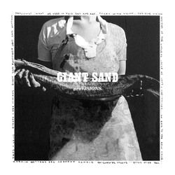 Giant Sand Provisions Vinyl LP