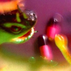 Bush Tetras Take The Fall Vinyl LP