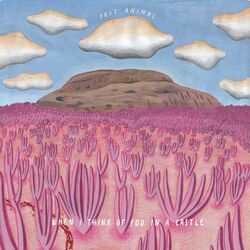 Post Animal When I Think Of You In A Castle 180gm Coloured VINYL LP