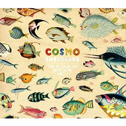 Cosmo Sheldrake Much Much How How & I  Vinyl LP