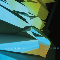 Dennis Young Electronic Music Vinyl LP