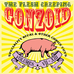Andrew Liles Flesh Creeping Gonzoid box set 7 CD