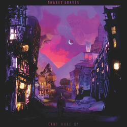 Shakey Graves Can't Wake Up Vinyl 2 LP