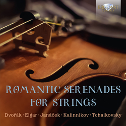 Dvorak / Krcek Romantic Serenades For Strings 5 CD