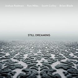Joshua Redman Still Dreaming VINYL LP