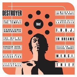 Destroyer Thief Vinyl LP