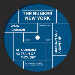 Wata Igarashi Question & Answer Vinyl LP
