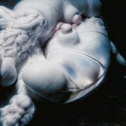 Bjork ARISEN MY SENSES Vinyl 12"