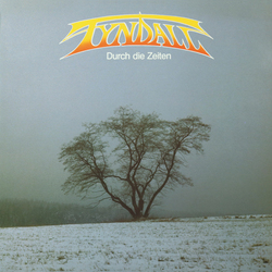 Tyndall Durch Die Zeiten Vinyl LP