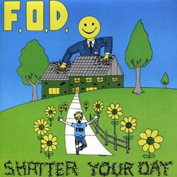 Flag Of Democracy Shatter Your Day Vinyl LP