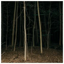 Express Rising Fixed Rope Ii Vinyl LP