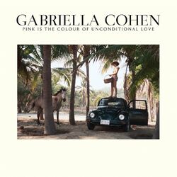 Gabriella Cohen Pink Is The Colour Of Unconditional Love Vinyl LP