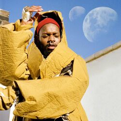 Serpentwithfeet Soil Vinyl LP