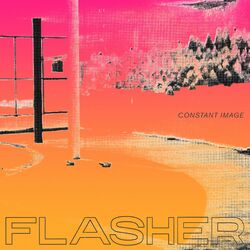 Flasher Constant Image Vinyl LP