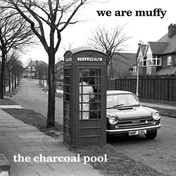 We Are Muffy Charcoal Pool Vinyl 2 LP